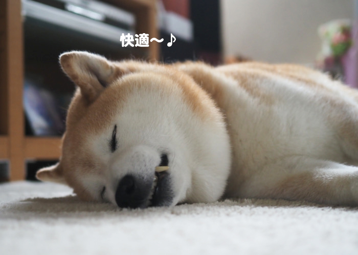 18日ブログ４