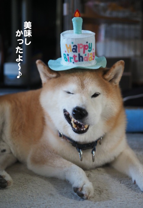 25日夕ブログ２