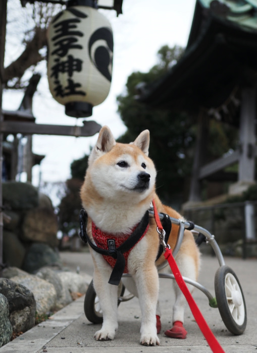 6日夜ブログ５