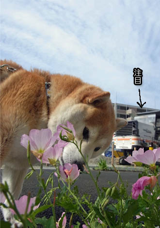 28日ブログ2.jpg