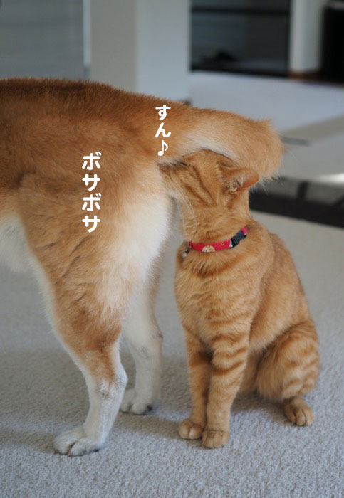 23日ブログ5