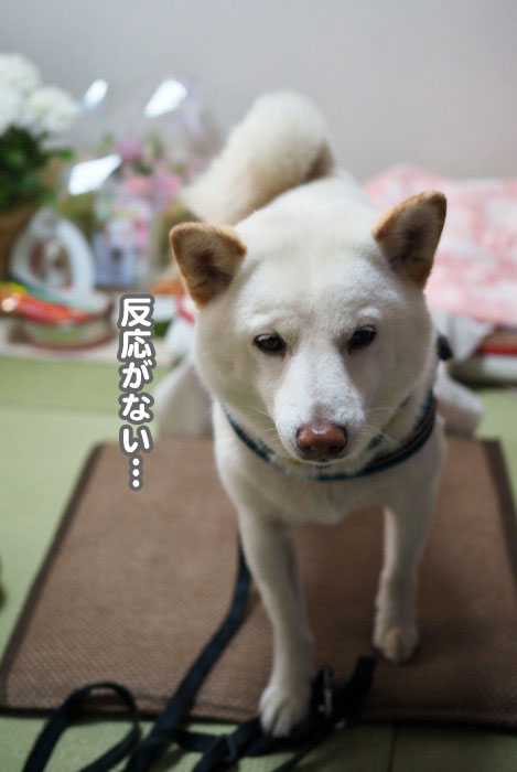 2日ブログ３