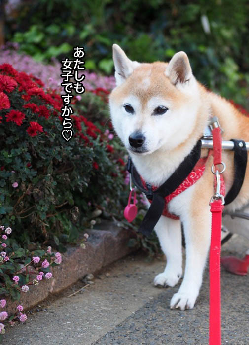 4日ブログ４