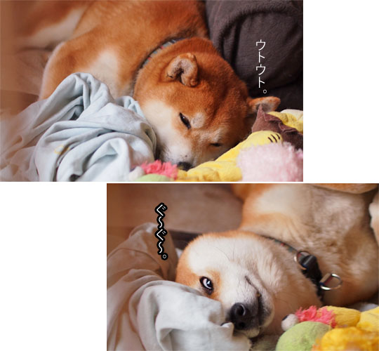 27日ブログ11.jpg