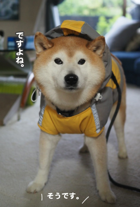 8日ブログ３