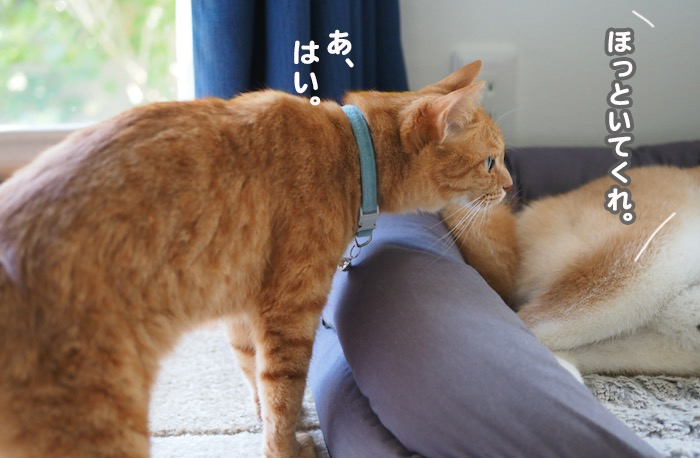 12日ブログ４