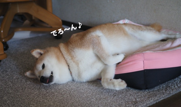 9日ブログ１