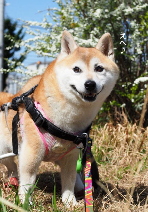 24日ブログ３