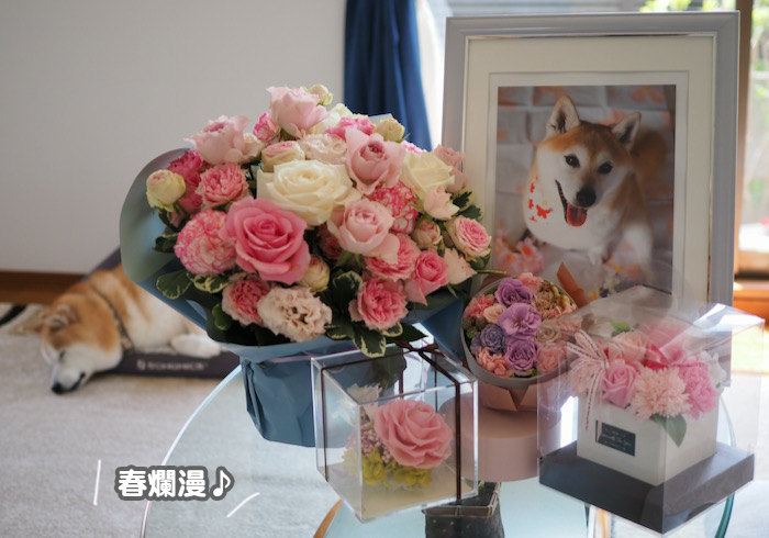 13日ブログ２