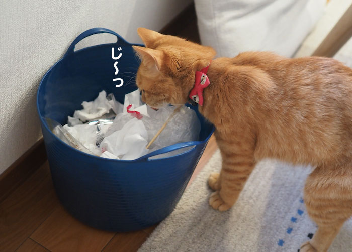 3日夕ブログ２