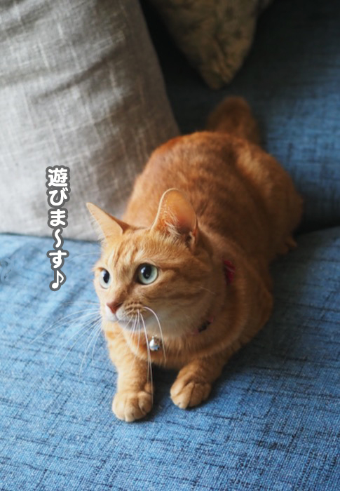 2日夕ブログ2