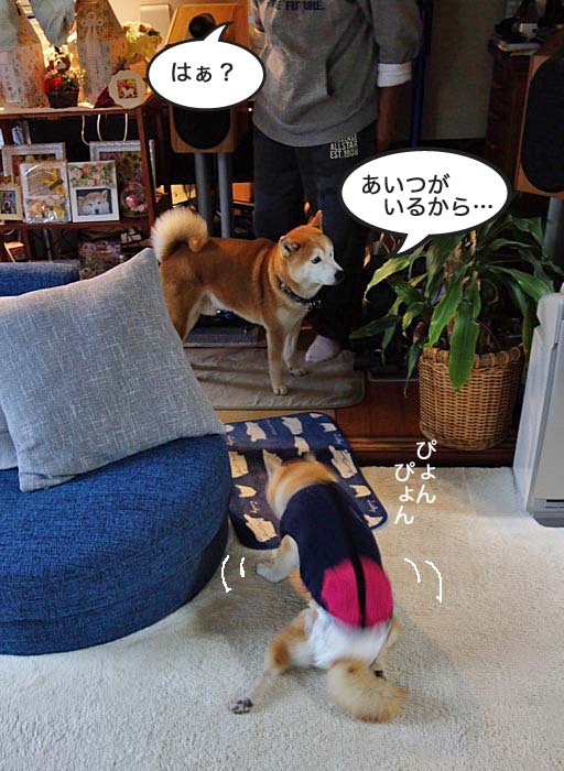 11日ブログ４