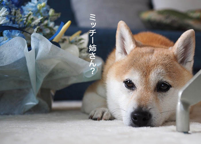 6日午前ブログ3