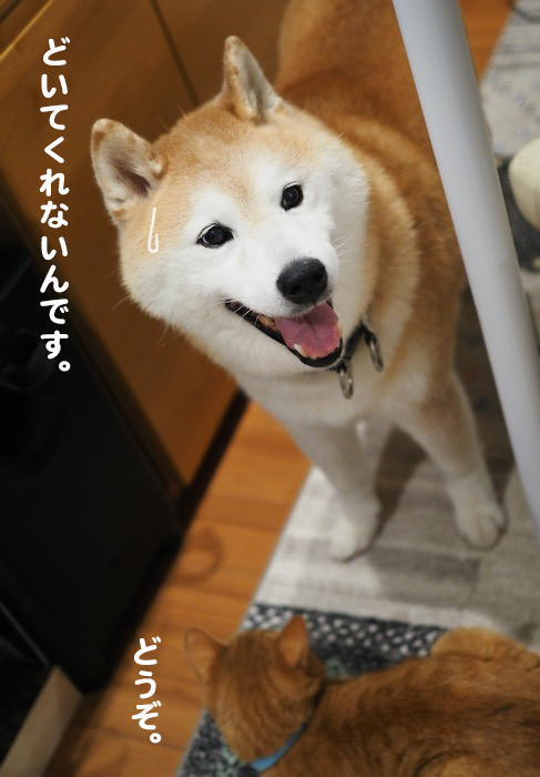 27日夕ブログ５