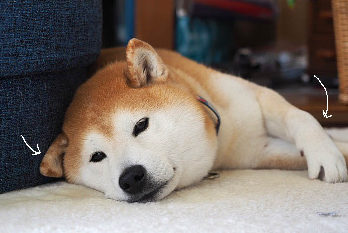 22日ブログ４