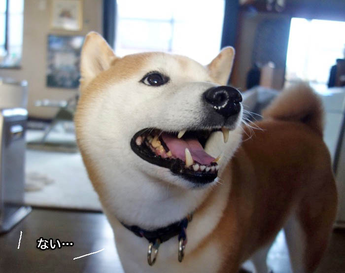 4日ブログ１０