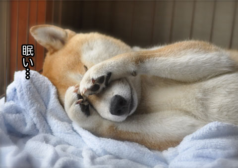 13日ブログ5.jpg