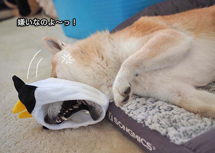 2日夜ブログ５