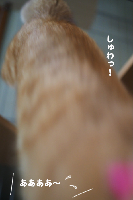 16日夕ブログ８