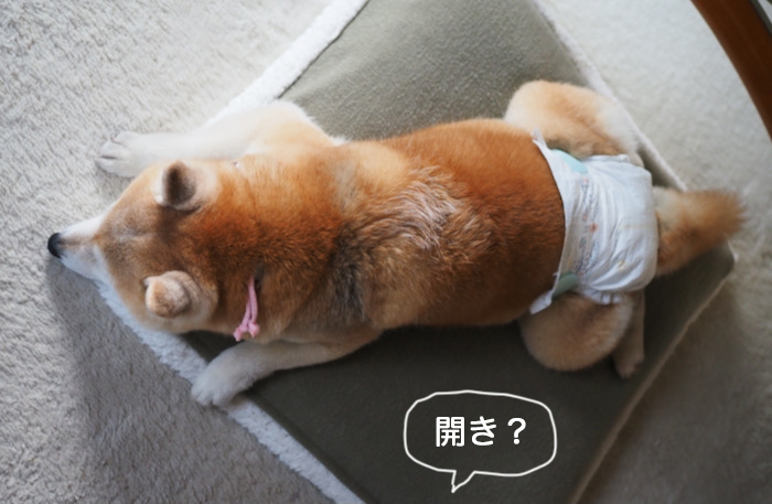11日夜ブログ１３