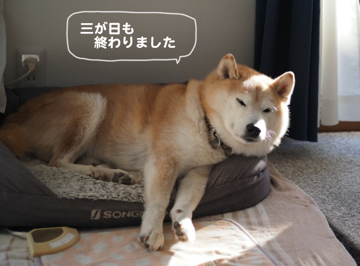 4日ブログ１