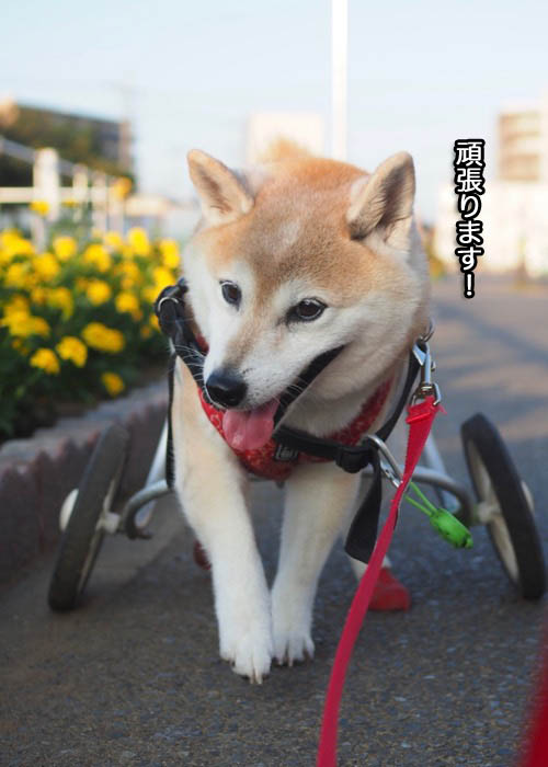 5日夕ブログ４