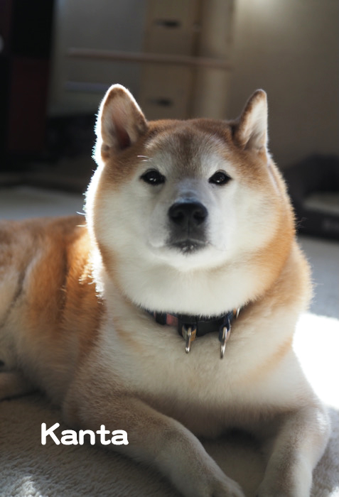 6日ブログ１