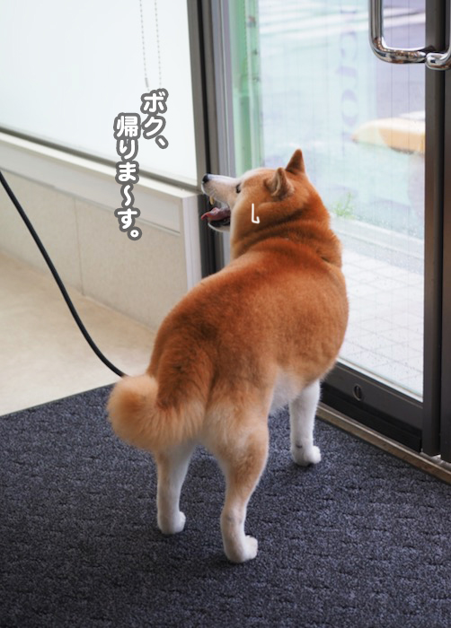 21日夕ブログ１０