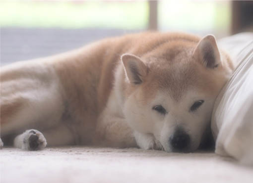 29日ブログ2.jpg