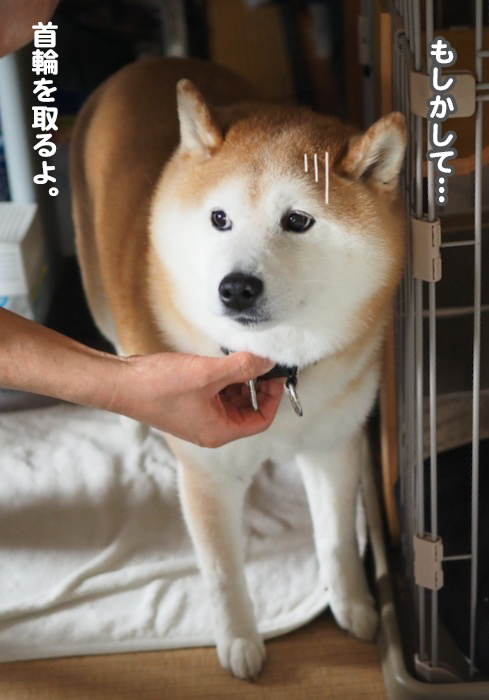 3日夕ブログ５