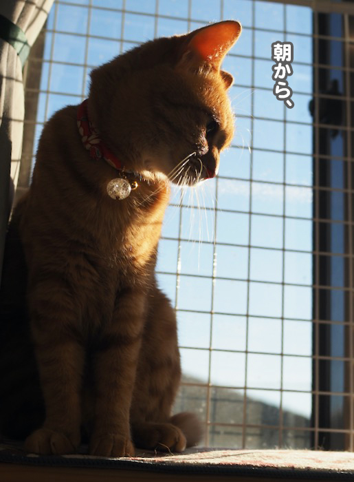 7日ブログ２