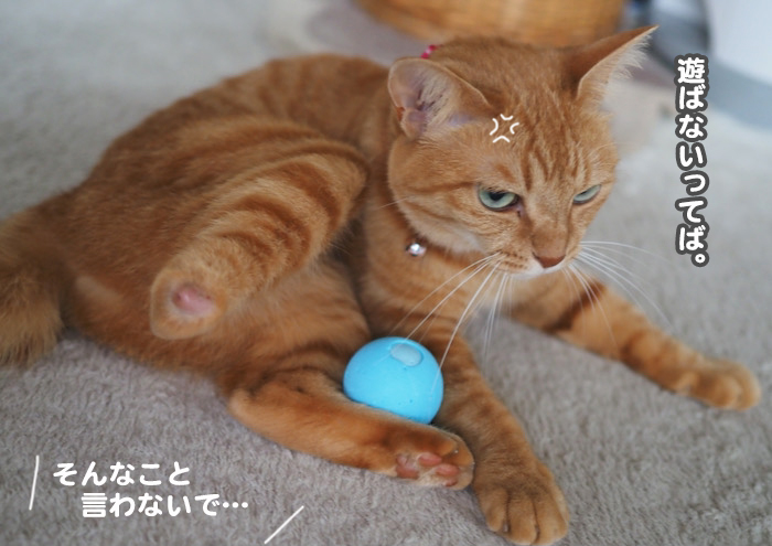 22日夕ブログ１０