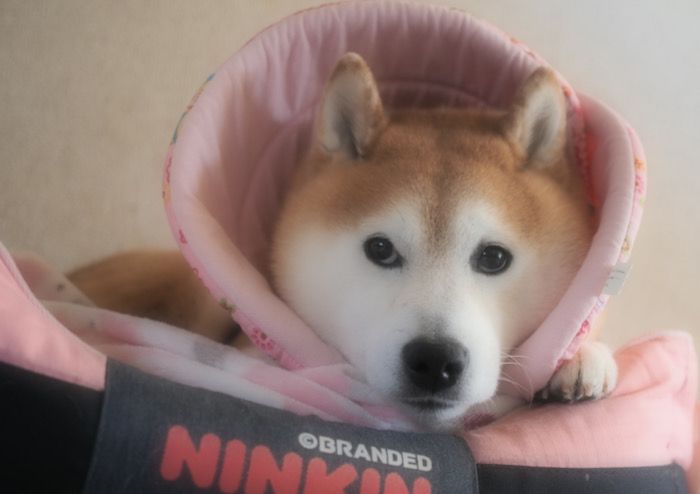 19日夜ブログ１