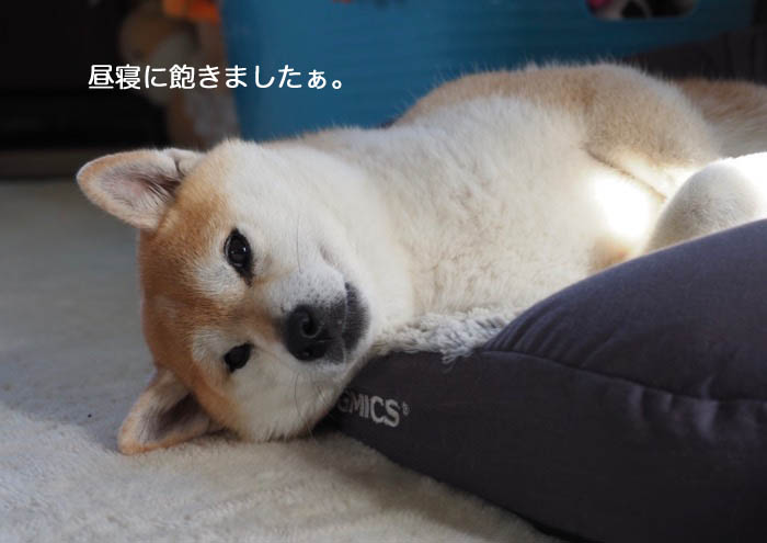 12日夜ブログ２