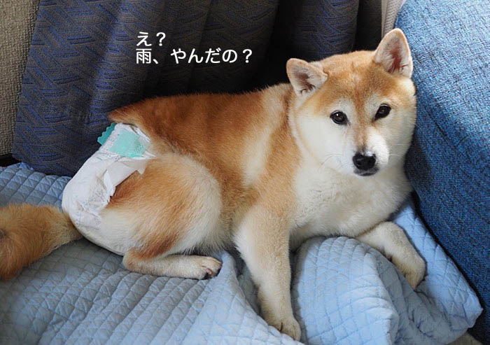 4日夜ブログ２
