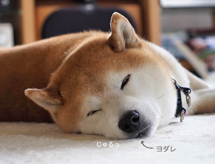 12日ブログ５