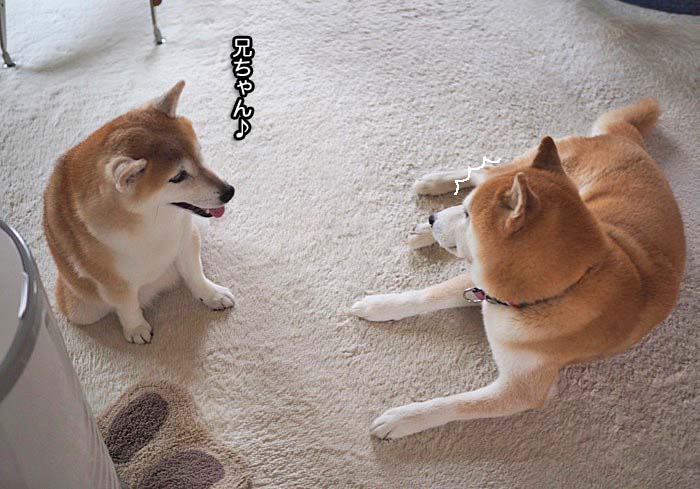9日ブログ２