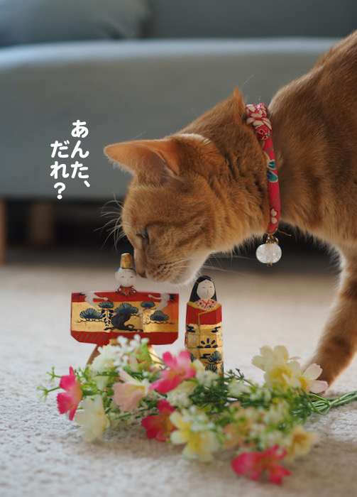 3日ブログ４