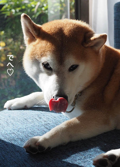 1日ブログ８