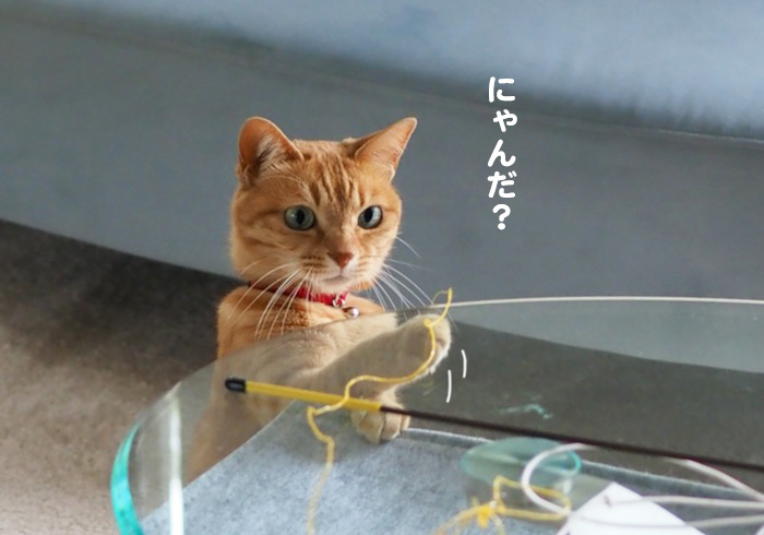 25日夕ブログ３