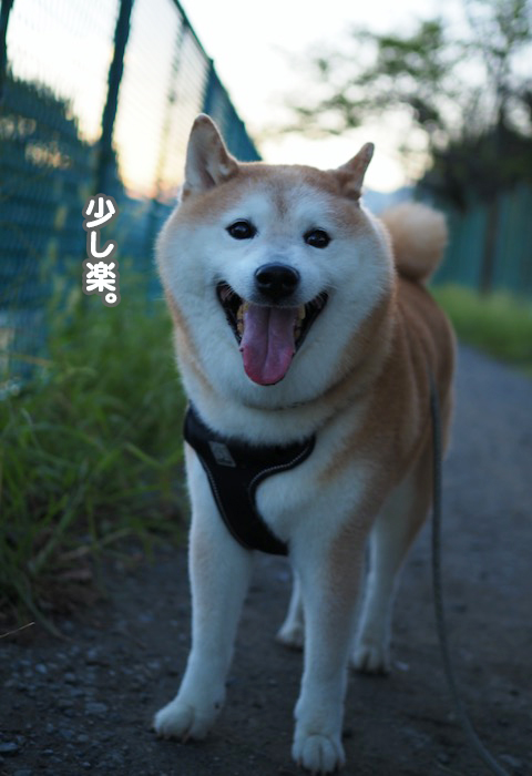 16日ブログ２