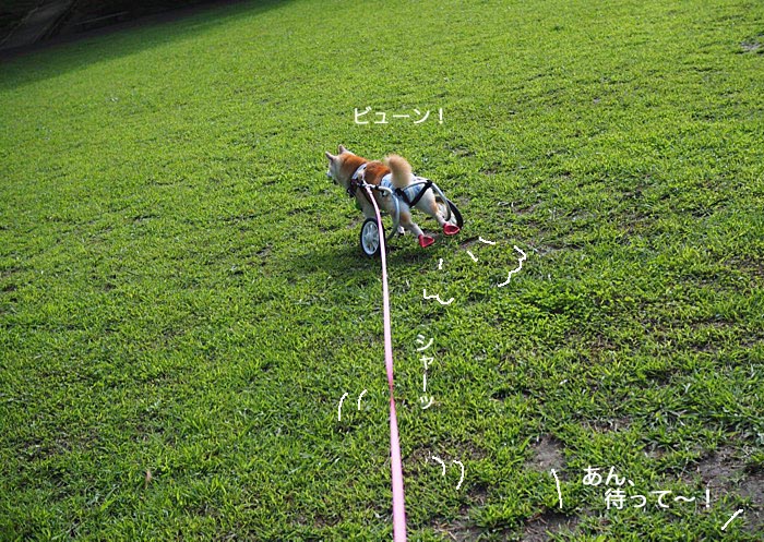 9日ブログ５