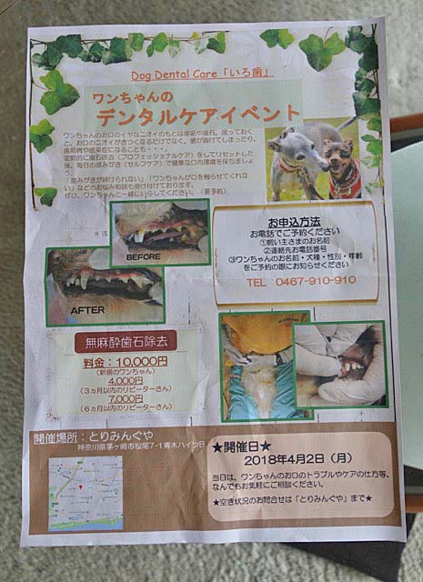 8日ブログ8