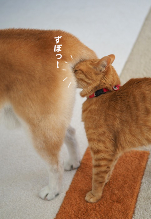 20日ブログ６