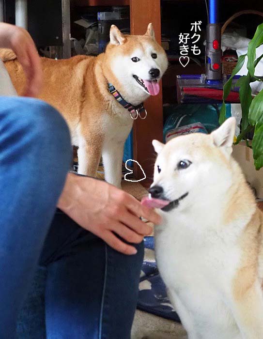 8日ブログ２