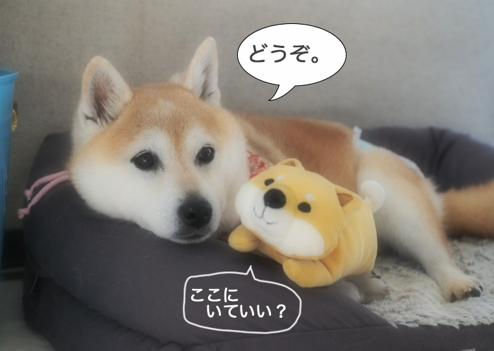7日ブログ７