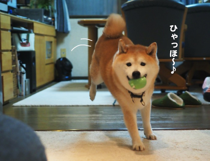 13日夕ブログ３