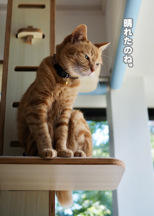 4日用ブログ４