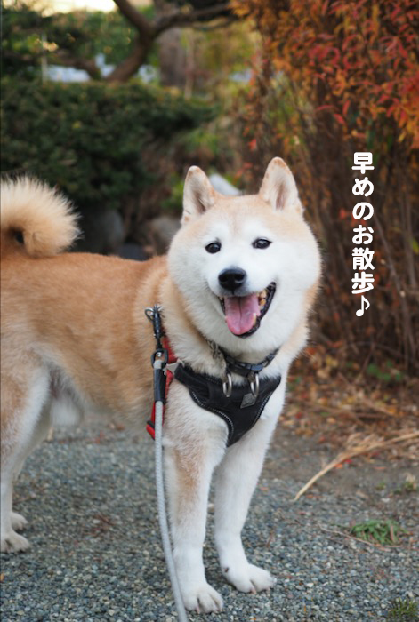 28日夕ブログ３