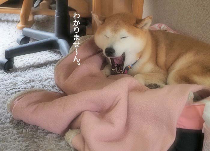8日ブログ５
